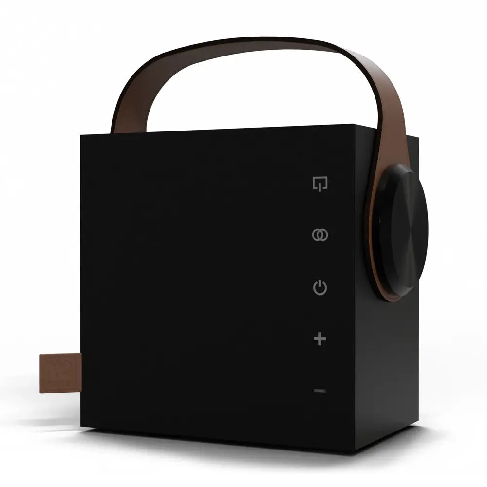 Biggie Bluetooth Wireless Speaker