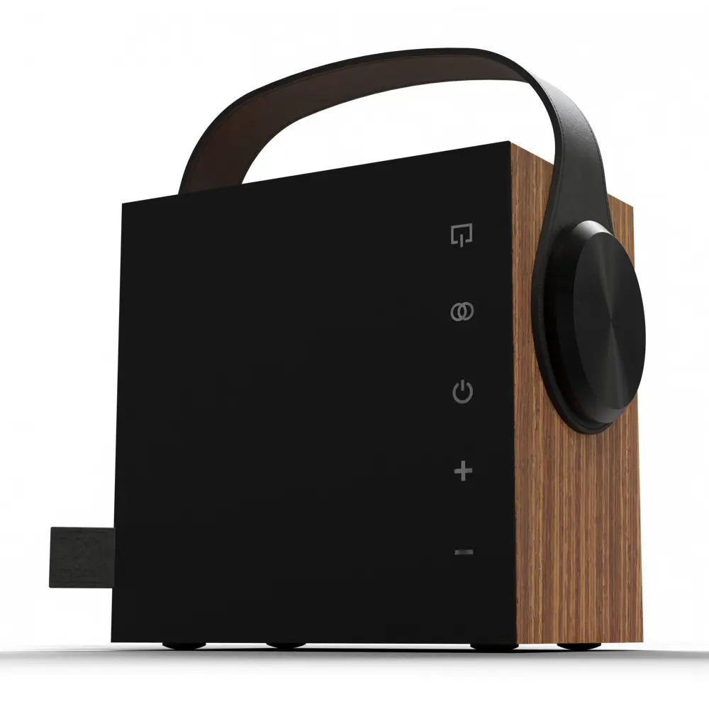 Biggie Bluetooth Wireless Speaker